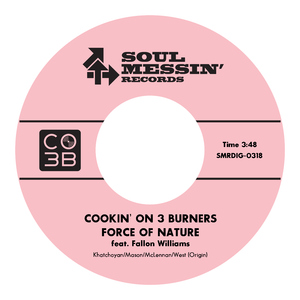 男总裁贱狗是男秘书主人的垫脚
