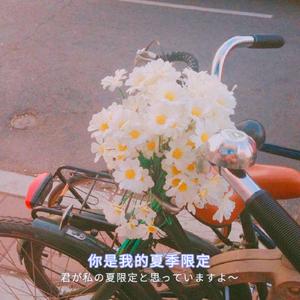 男总裁贱狗是男秘书主人的垫脚
